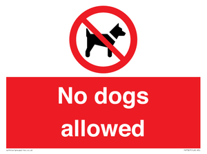 No dogs allowed
